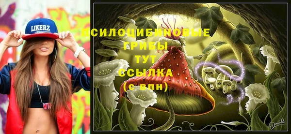 PSILOCYBIN Алексин