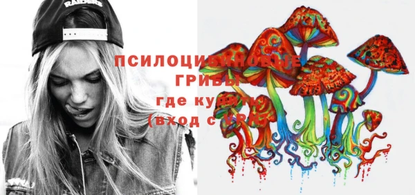 PSILOCYBIN Алексин