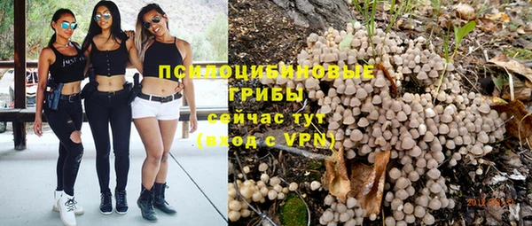 PSILOCYBIN Алексин