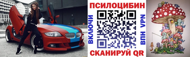 дарнет шоп  Жиздра  Псилоцибиновые грибы мухоморы 